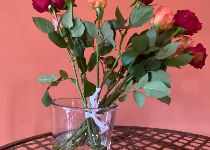 דירה Gli Aloe Biodola - Trilocale Con Piscina